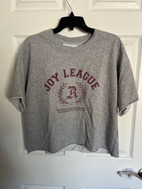 Elevation Church Reflect 2023 Gray Crop Tee with Burgundy 'Joy League' Graphic